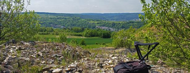 > Segelfalter am Hilltoppingplatz 18.05.