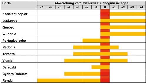 9: Blühzeiten im Quittensortiment von 2009 bis 2015 in Gülzow Betrachtet man den Blühbeginn der einzelnen Quittensorten in den letzten 6 Jahren, so fällt auf, dass die vier Apfelquitten zu sehr