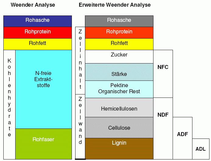 Grafik 2: Vergleich Weender Analyse klassisch zu erweitert Quelle: modifiziert nach Lindermayer (2009) Nur mit der Fraktion Rohfaser lässt sich heute die Futtermittelqualität, insbesondere für die