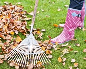 Herbstlaub entfernen Das Herbstlaub bietet in der Regel dem darunter liegenden Boden wertvolle Nährstoffe und Schutz vor Bodenfrösten.