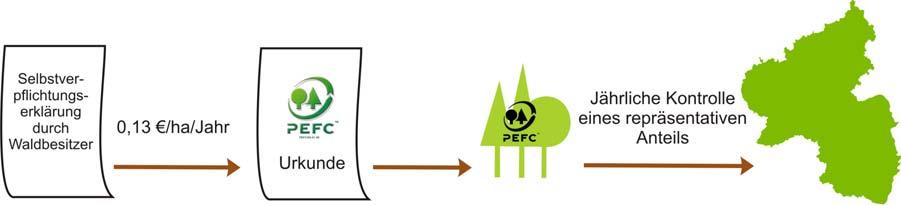 1. Das PEFC-System - kurzgefasst Nach Fertigstellung des Waldberichtes überprüft eine unabhängige Zertifizierungsstelle die Konformität mit den Anforderungen des PEFC und vergibt ein regionales
