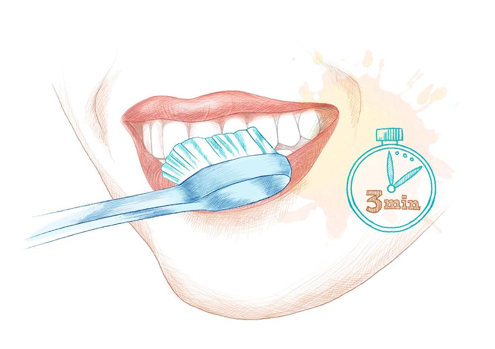 2. Zähneputzen: Wie geht s richtig? Das intensive Reinigen der Zähne mit einer geeigneten Zahnbürste gehört zur täglichen Mundhygiene.