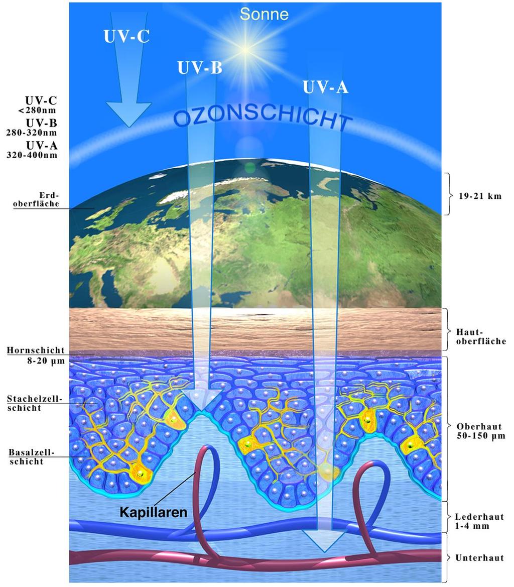 Solares UV UVC: UVB: UVA: 100-280 nm 280-315 nm 315-400 nm Risiko und