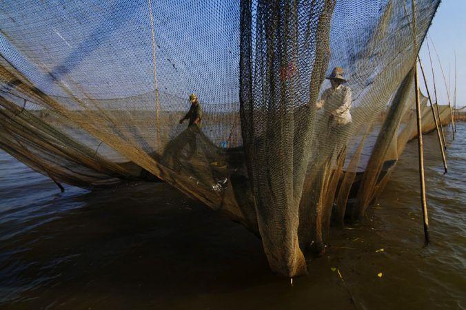 Der Tonle Sap ist eines der fischreichsten Binnengewässer der Welt.