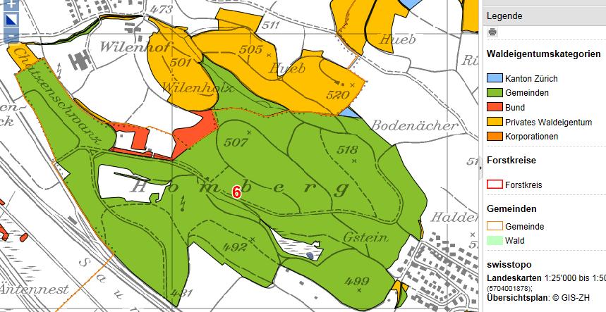 Gröstenteils ist der Wald Gemeindeeigentum, wie in Abbildung 2 ersichtlich ist. Ein weiterer grösserer Teil gehört Privaten. Daneben gibt es einen kleinen Abschnitt der dem Bund gehört (Schiessstand).