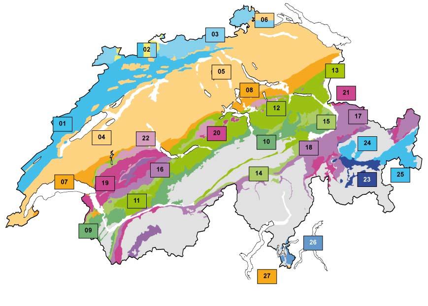 Mergelformationen des