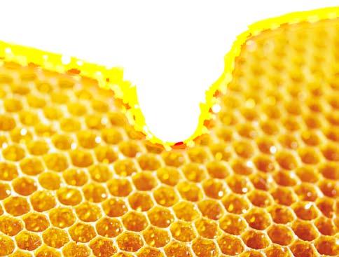 Flüssig oder kristallisiert Für das Kristallisieren des Honigs ist das Verhältnis