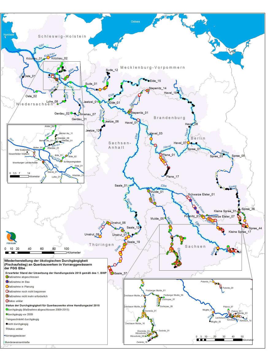 Indikatoren für die Zielerreichung (Vorschlag GRÜNE LIGA) ökologische Durchgängigkeit ökologische Durchgängigkeit an Vorranggewässern der FGG Elbe Die 2009 im Bewirtschaftungsplan an den 116