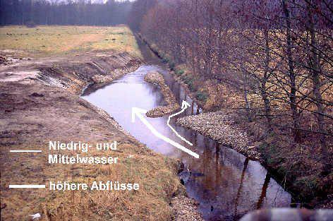 000 Wasserkörpern und somit an rund zwei Dritteln aller Wasserkörper im deutschen Einzugsgebiet der Elbe Eingang in das