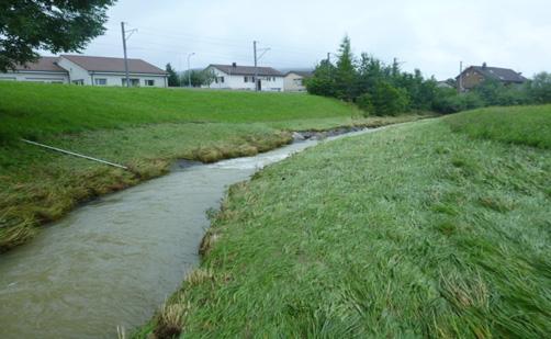 asserbautagung 2016 Entwürfe StorMe-Formulare: Prozess asser Abbildung: Fliessspuren Hochwasser, Gais Kt.