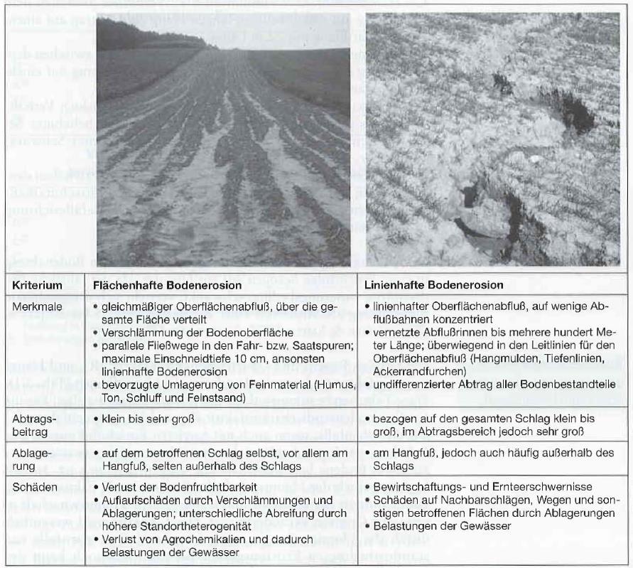 Landwirtschaft Stichwort Bodenerosion: Charakteristika