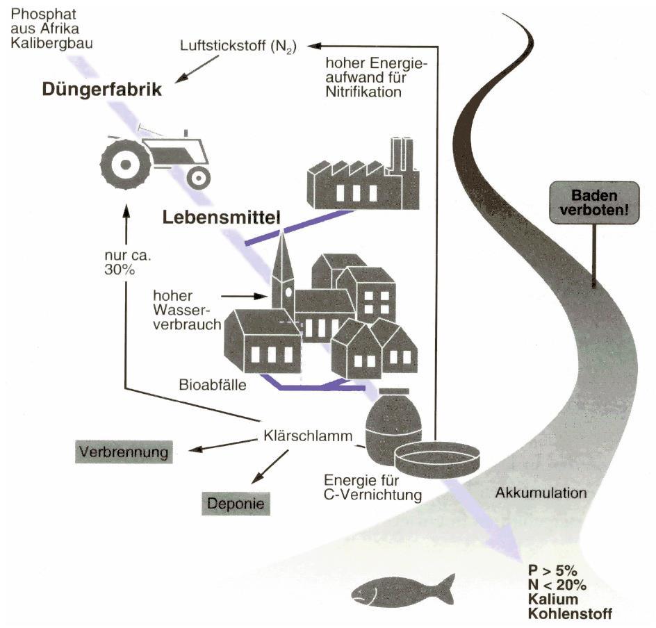 Kommunen Etabliertes Abwassersystem mit