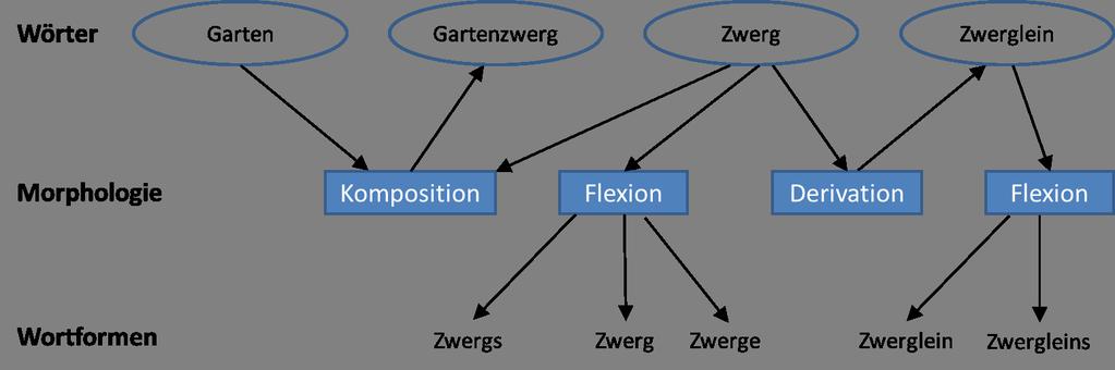 Morphologie Flexion und Wortbildung Morphologie wird unterteilt in Flexion und