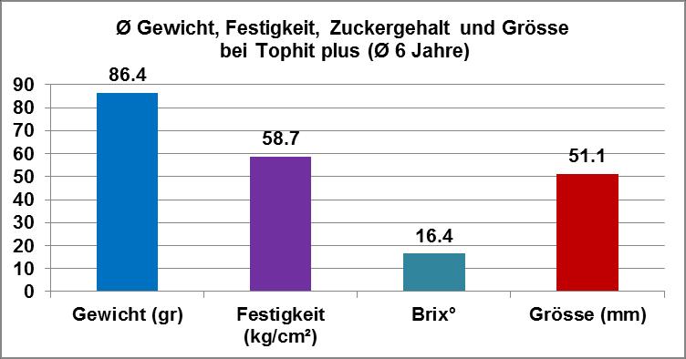Tophit Plus Herkunft: Kreuzung von Cacaks Beste x President. Geisenheim, Deutschland. 48 56 mm Durchmesser, 75 90 g. (SOV-Norm: mind.