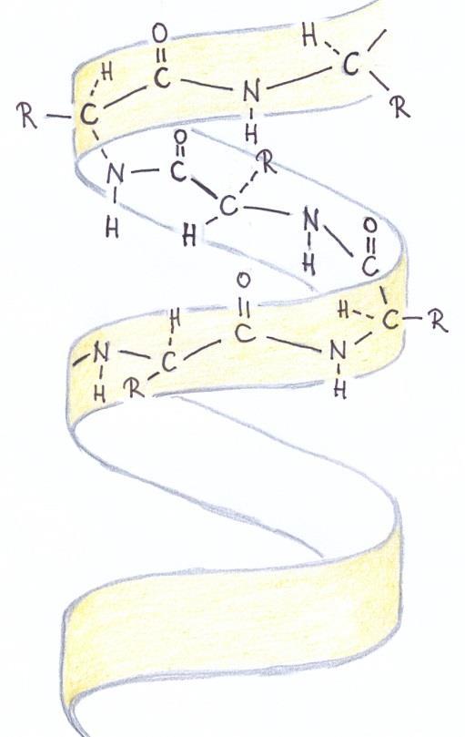 Struktur von Enzymen