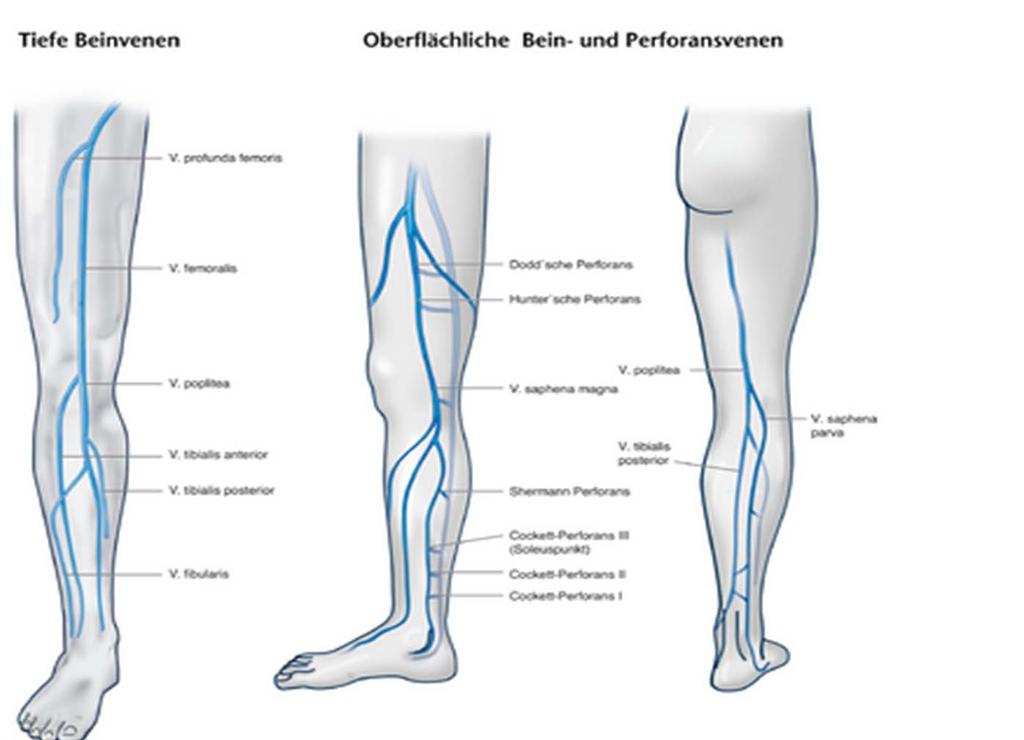 Untersuchungen und Wundabstrich Klappe Insuffizienz