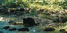 Organisation: 3. Ganztagesexkursion Naturschutzgroßprojekt Thüringer Rhönhutungen Rückkehr nach Eisenach 16.