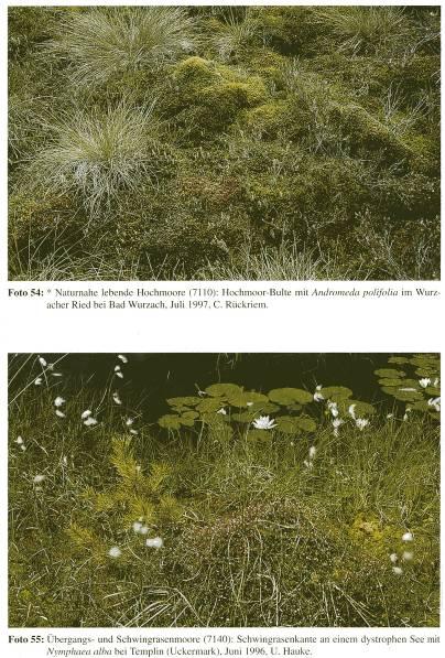 BfN-Handbuch zur Umsetzung der Faun-Flora-Habitat-Richtlinie (92/43/EWG)