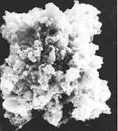 Kohlige Chondrite (1) sowie auch kosmische Staubpartikel (2) sind reich an teils komplexen organochemischen