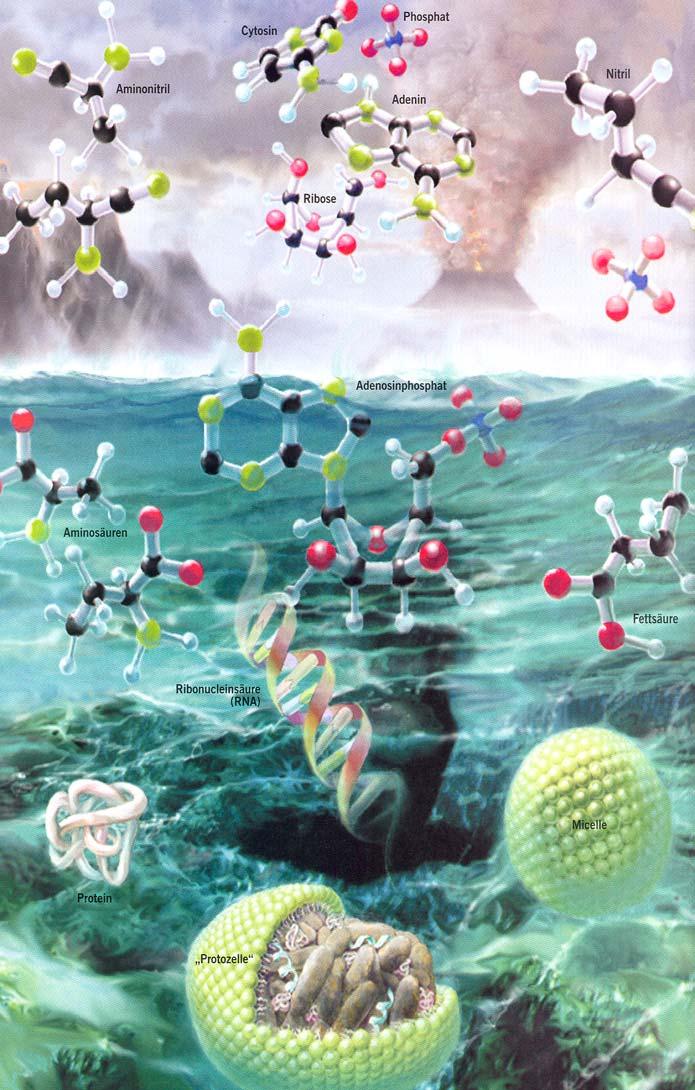Zusammenfassung Mögliche Synthesewege in den Ur-Ozeanen: Niedermolekulare organische Moleküle werden (interstellar bzw. interplanetar) in die Ur-Atmosphäre bzw.hydrosphäre importiert.