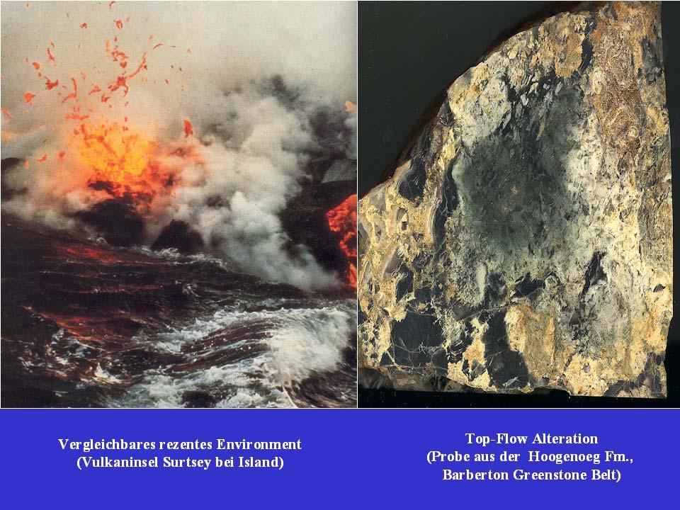 Wahrscheinlicher sind die im Archaikum weitverbreiteten vulkanisch-hydrothermal beeinflussten Habitate in den Schelfgebieten der Urkontinente (Wärme, komplexe