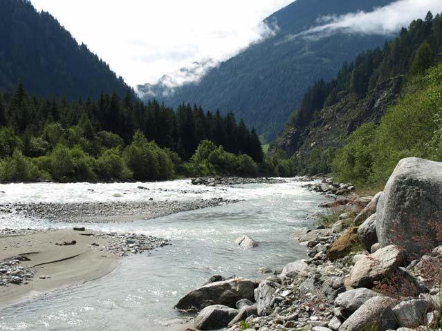 Ufervegetation der Isel Isel ist der wichtigste Wildfluss der Ostalpen. Alpine Flüsse und ihre Schotterbänke sind als Lebensraum durch Anhang I der FFH-Richtlinie geschützt.