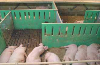 Einsatzempfehlung: Raumteiler im Schweine- und Rinderstall Buchtenabtrennung (Schweine / Hunde / Waschstrassen / Waschplätze) DLG Test-Nr.