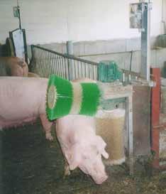 für ihre Schweine - bringt Ruhe in den Stall - unterstützt die artgerechte Haltung - steigert