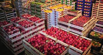 GROSSMÄRKTE Zahlen, Daten, Fakten Fläche Auf einer Gesamtfläche von 2.700.000 m 2 werden über die deutschen Großmärkte täglich riesige Mengen an frischen Lebensmitteln umgeschlagen.