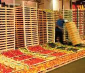 000 Tonnen Waren ist der Stuttgarter Großmarkt einer der größten der Bundesrepublik Deutschland. Über 1.235 Tonnen Obst und Gemüse werden täglich im Großmarkt angeliefert.