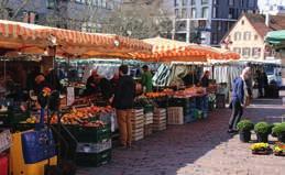 EINZELHANDEL Rostock frisch lebendig preiswert Die Rostocker Wochenmärkte stehen für gesunde Frische, breite Vielfalt und hohe Qualität.