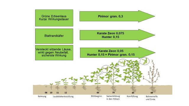 Insektizideinsatz Körnerleguminosen - Erbsen Aufwandmengen = l/kg/ha Insektizideinsatz