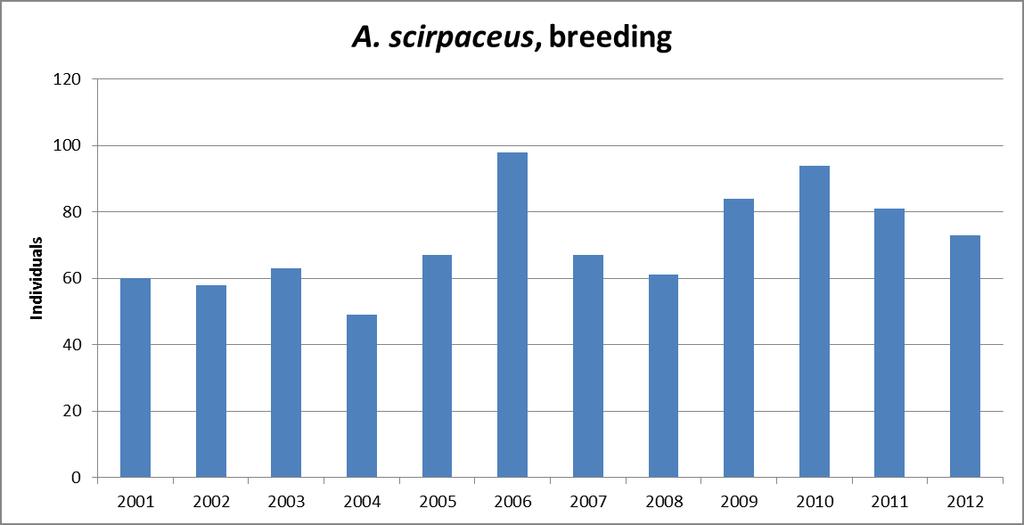 Grafik 2 Insgesamt gefangene Teichrohrsänger während den Brutzeiten von 2000-2013 (15.05.-10.07.