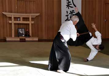 Als Meister konnte zum wiederholten Mal Alfred Heymann gewonnen werden. Vielen älteren TGS lern ist er sicherlich noch ein Begriff, hat er doch vor 45 Jahren die Aikido Abteilung ins Leben gerufen.