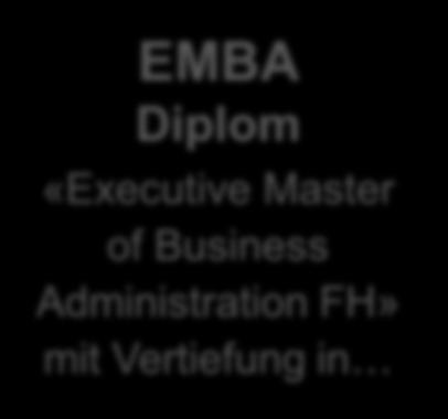 Folie 10 MAS Diplom «Master of Advanced