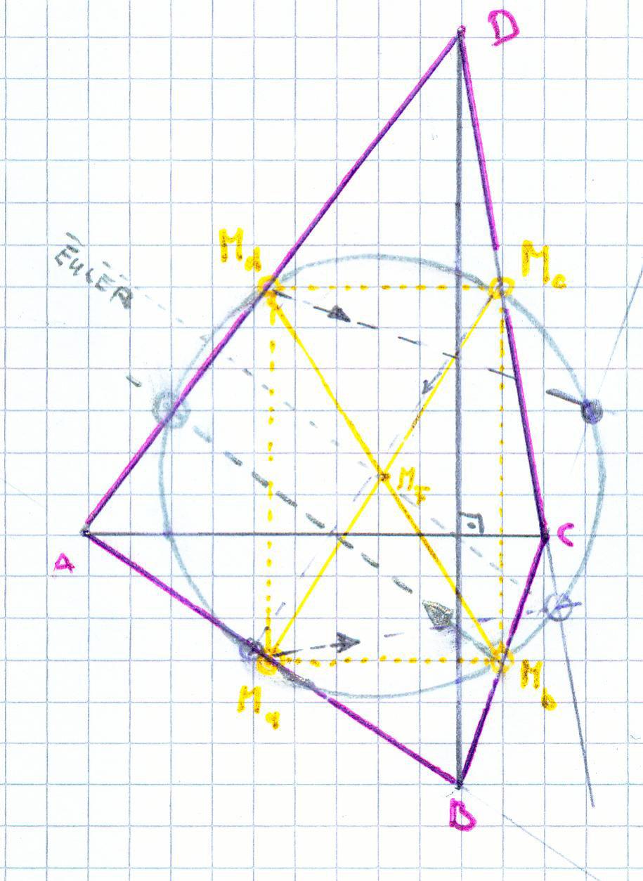 Abb. 39b: Die Newton-Grade 5 eines Vierecks ist die Verbindung der Mittelpunkte der Diagonalen. Rechts: Eulergerade M Feuer S senkrecht eines Vierecks ohne In- und Umkreis aber mit Achtpunktekreis.