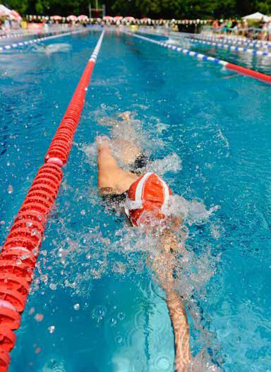 SC Aarefisch, Aarau Wir stärken das Schwimmen als Lifetime Sport der Bevölkerung. Wir betreiben eine aquality/swiss Swimming zertifizierte Schwimmschule.