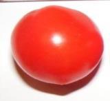 geschmackvolle Tomate handelt. Diese Stabtomate wird bei guter Kultur etwa 1,80-2m hoch.