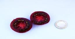 ø 2cm 228 Helsing Junction Blue violett-rot, flachrund, ø 4-5cm 229 Tomate Passeiertal Rote