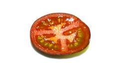 Kräftige große Tomatenpflanzen, die bis zu 10cm große Früchte tragen.