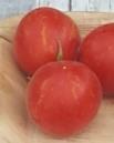 Feiner, tomatiger Geschmack, neigt bei Trockenheit etwas zu dickerer Schale. Nicht ausgeizen! Regina rot 285 Rote, runde frühe Sorte mit 4-5cm. Eine "Königin" der italienischen Tomaten.