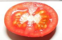 19 Grappoli Schweizer Tomate alte Sorte. Ovale ca. 5cm große rot-grüne Früchte.
