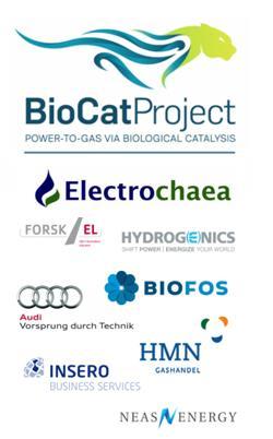 BIOLOGISCHE METHANISIERUNG BioCat in