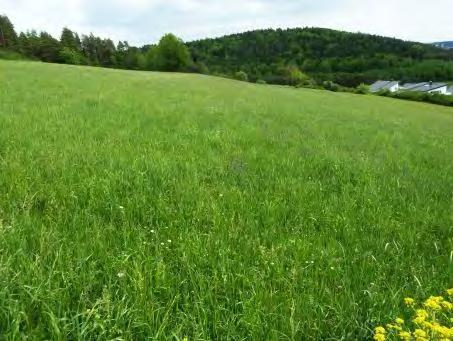 500,00 in Worten: (Dreitausendfünfhundert Euro) geschätzt. Flurstück 1697: Flurstück: 1697 Würgenler - Landwirtschaftsfläche 2.