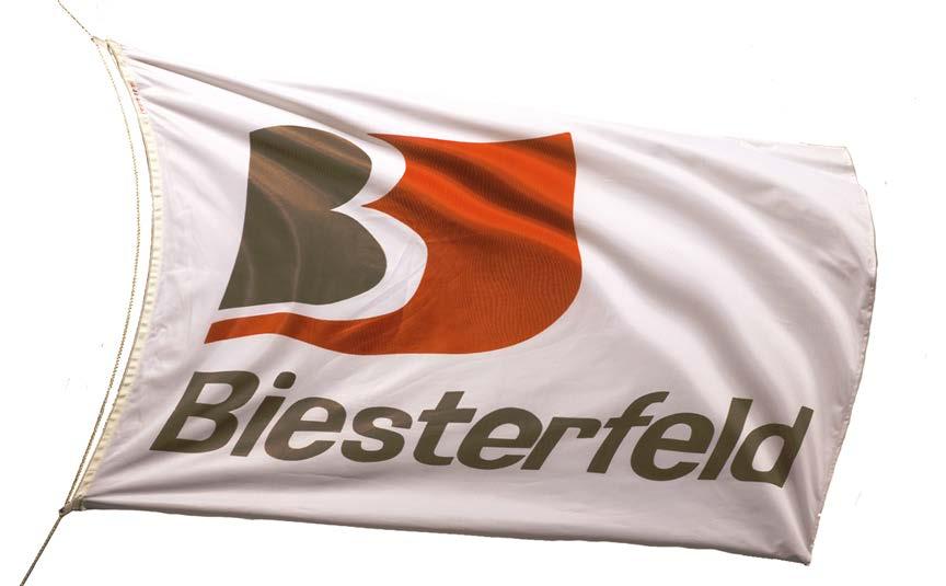 Die Biesterfeld Gruppe Internationales Handels- und Dienstleistungsunternehmen mit 110-jähriger Tradition Führender Distributeur für Kunststoffe, Kautschuke, Basis- und Spezialchemikalien