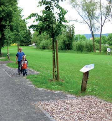 Der rund zweistündige Spaziergang startet am Haus der Vereine in Simmershausen und führt Sie über insgesamt sieben interessante Ziele wie zum Beispiel den steinzeitlichen Lagerplatz oder die