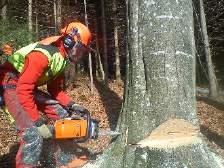 Praktika zur Forst - Facharbeiterausbildung Erster Praktikumsblock: zwischen 2. und 3.
