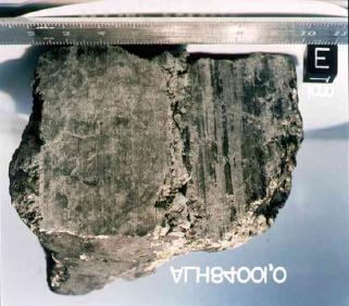 Bildnummer: ma006-08 Marsmeteorit ALH 84001 (Masse 1,98 kg),