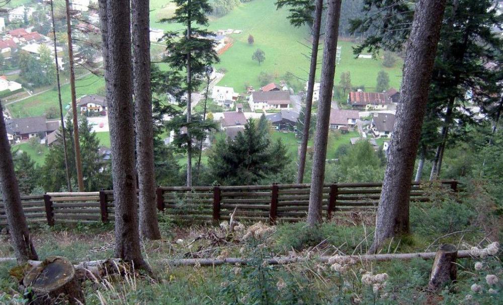 Vision Vorarlberger Landesforstdienst der gemeinsame Weg Wir gestalten Landschaft und Lebensraum positiv Die Ergebnisse unserer Arbeit sind im Wald sichtbar Bevölkerung und