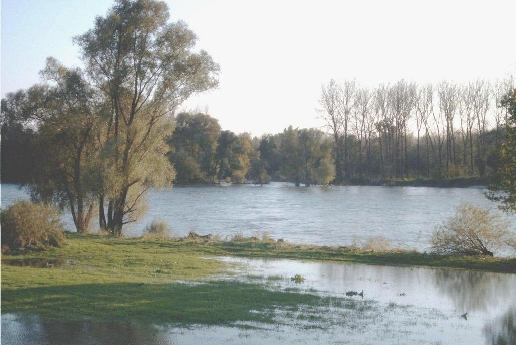 Ökologischer Hochwasserschutz mehr Raum für die Donau Natürlicher